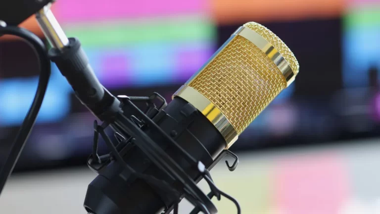 What Microphones Are Used in Recording Studios