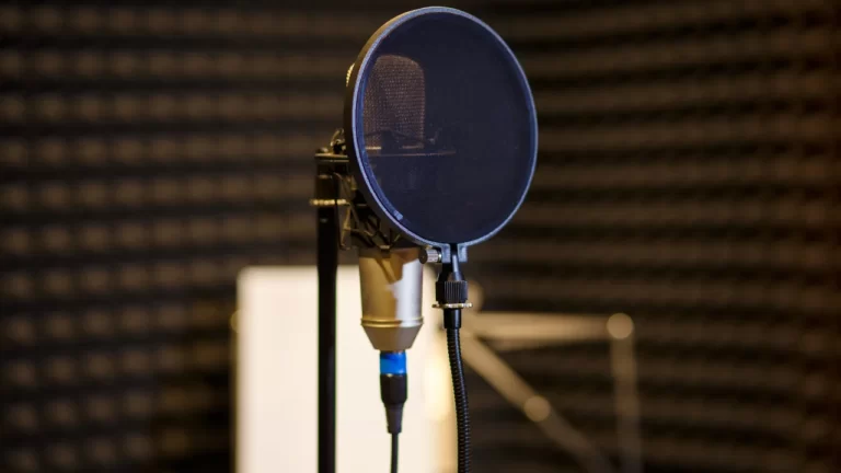 image of best portable vocal booth